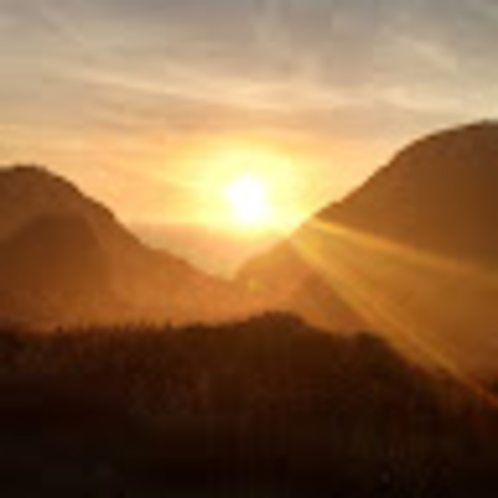 Meet your Posher, Ace